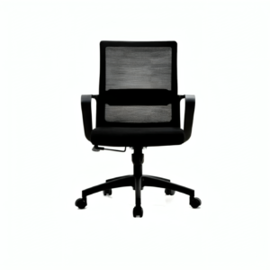 Ergonomic Chair Oec-01